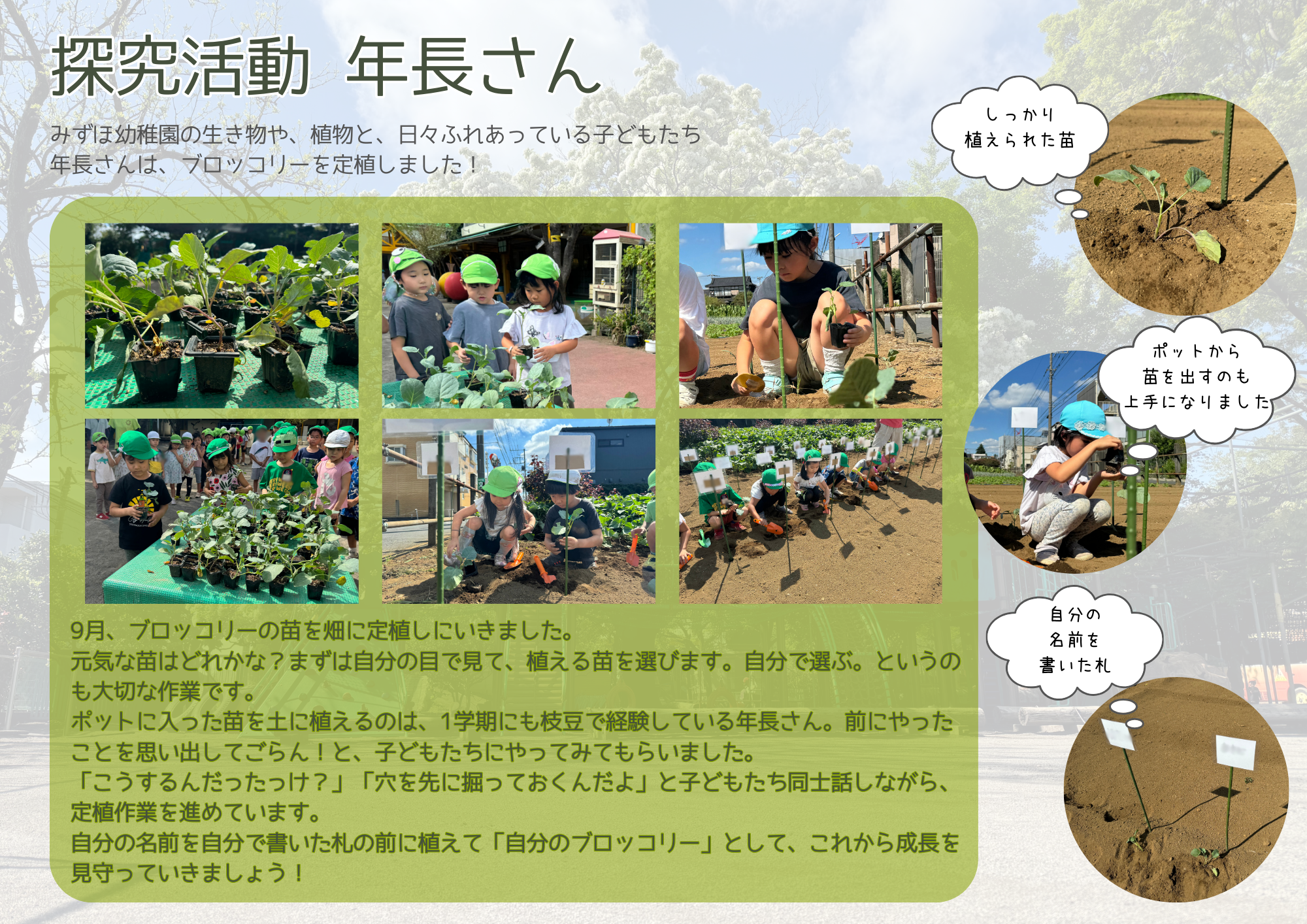 9月の年長さん探究活動